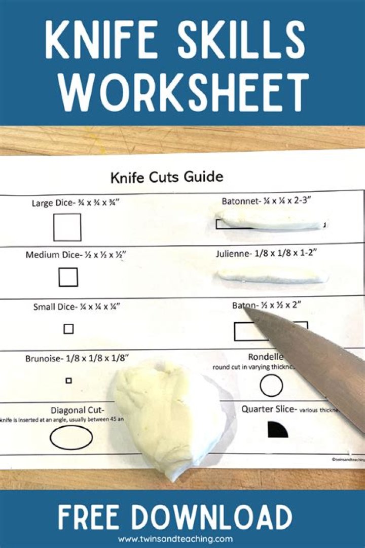 Anatomy of a Chef's Knife — Printable Worksheet