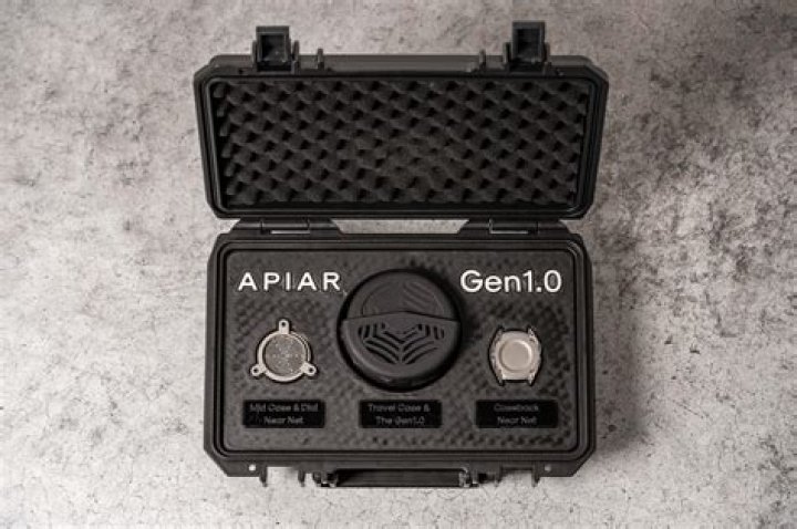 apiar: Information about the word 'apiar'