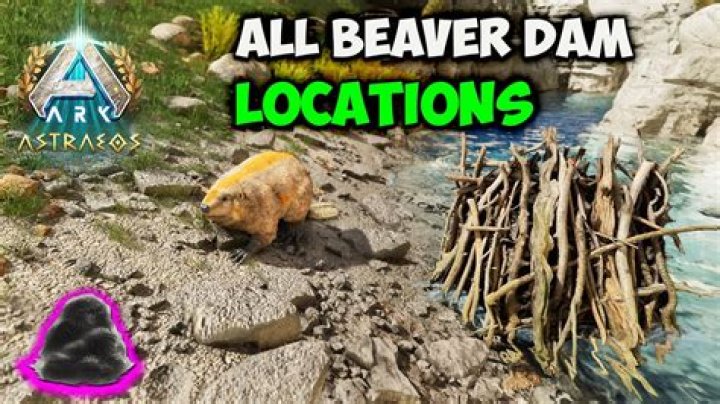 ARK: Survival Evolved – How to Find Beaver Dams