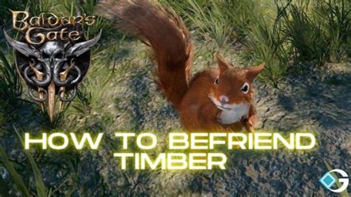 Baldur's Gate 3 (BG3): How To Befriend Timber the Squirrel