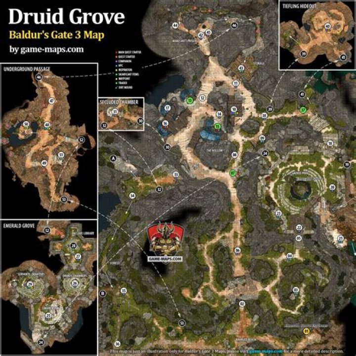 Baldur's Gate 3 (BG3): How To Fix The Elevator At The Druid Grove