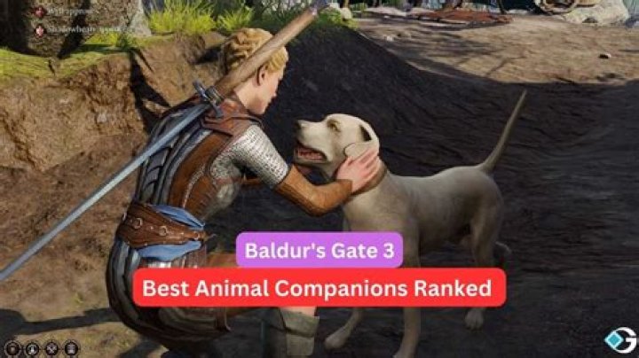 Best Animal Companions Ranked in Baldur's Gate 3 (BG3)