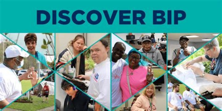 bip: Information about the word 'bip'