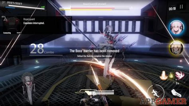 Co-op Guide - Punishing: Gray Raven