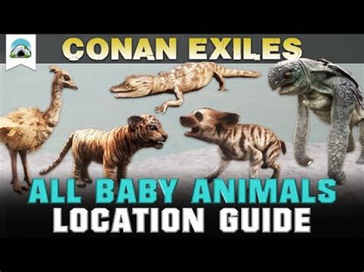 Conan Exiles – All Baby Animal Locations