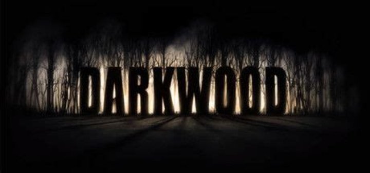 Darkwood (2014) - MobyGames