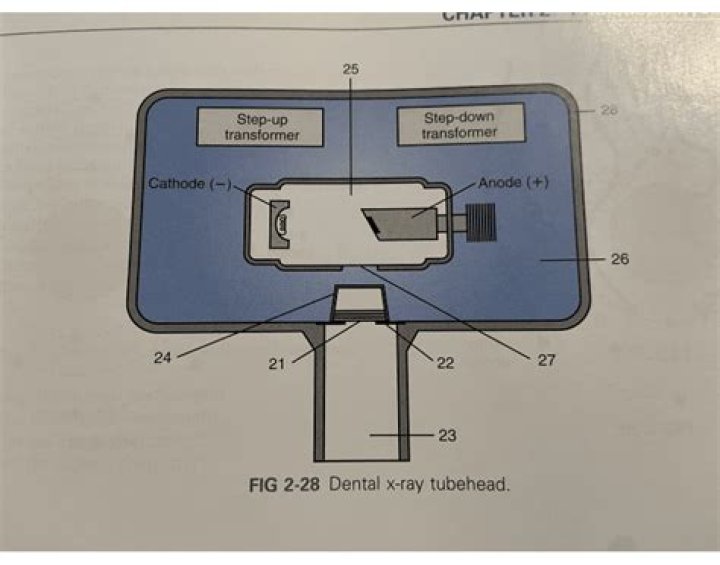 Dental Xray Tubehead Quiz