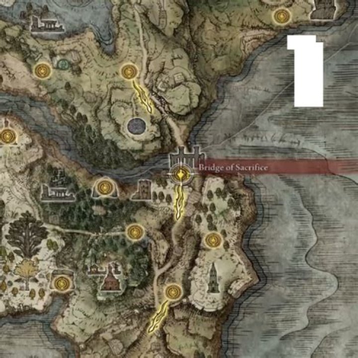 ELDEN RING – Best Mushroom Farming Location