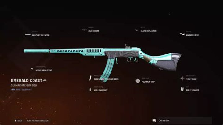 Emerald Coast | COD Warzone and Vanguard Weapon Blueprint