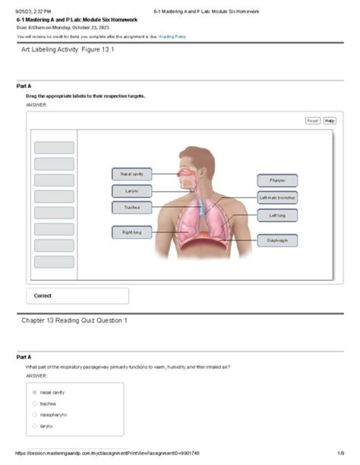 figure 36.1c Quiz