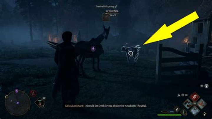 Foal Of The Dead Thestral Breeding Guide