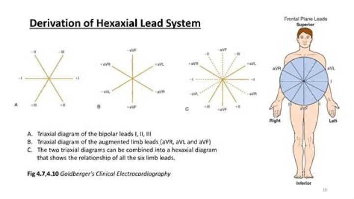 Hexaxial Diagram Quiz