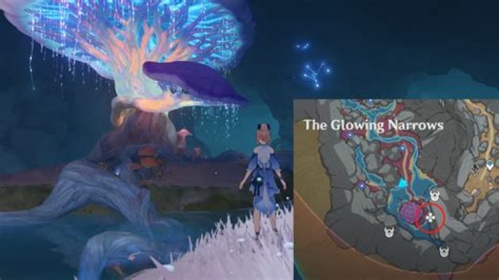 How to complete the Dimming Mushroom’s Call for Help World Quest in Genshin Impact