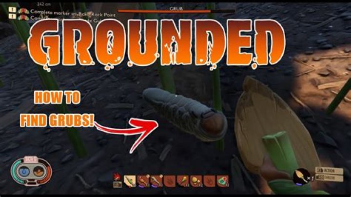 How to find Grubs in Grounded