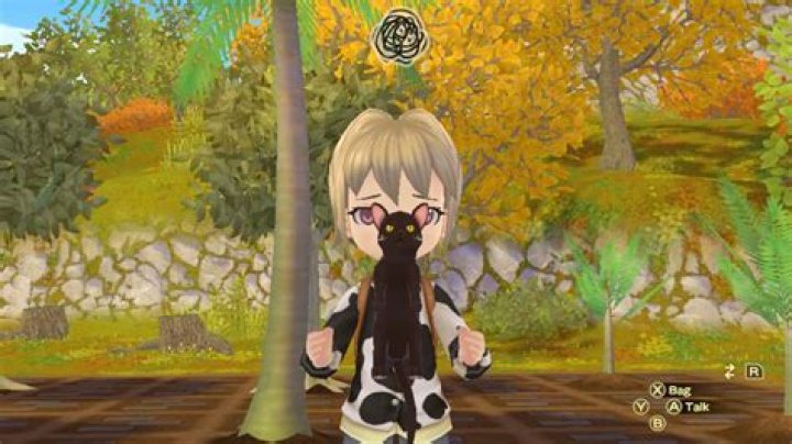 How to get a cat in Story of Seasons: A Wonderful Life