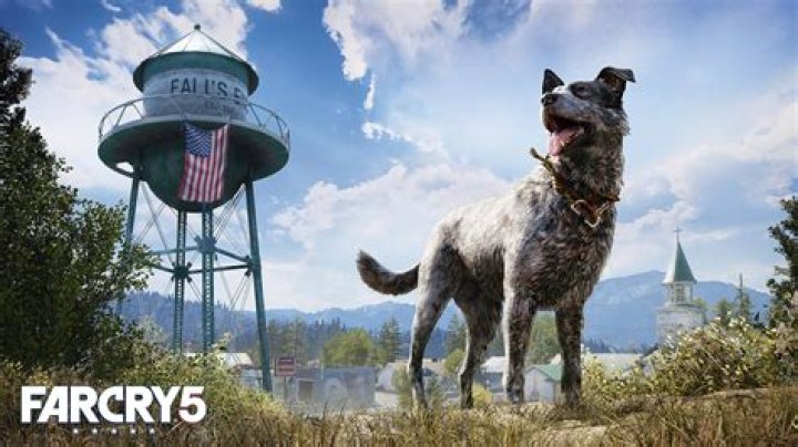 Is there FOV in Far Cry 5?