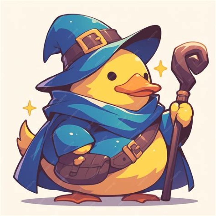 Magic Duck Unlimited – PAN YA