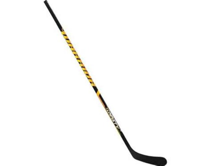 Name The Parts of A Hockey Stick Quiz