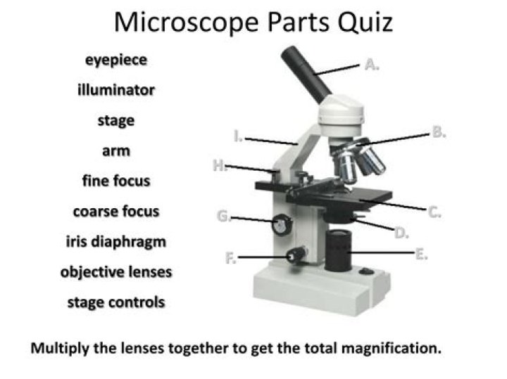 Parts of the Microscope Quiz