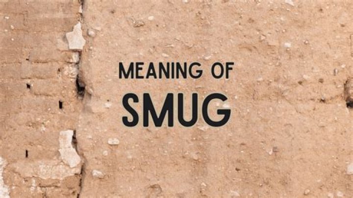 Smiled smugly Word Craze Answer