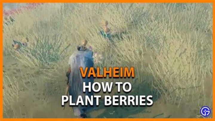 Valheim: How To Plant, Grow And Farm Berries?
