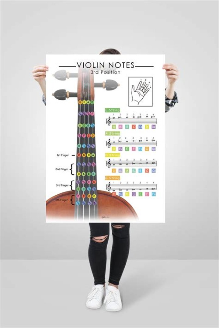 Violin Fingerboard Notes Quiz