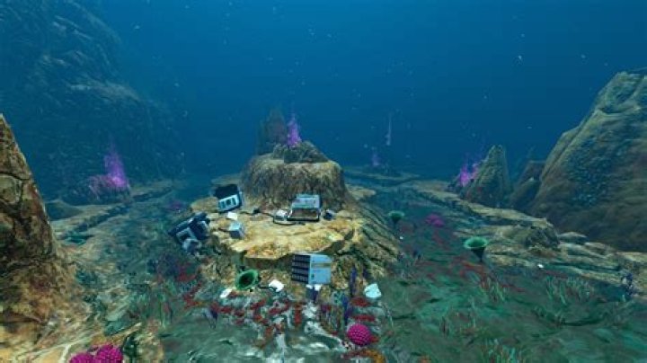 Where To Find Ruby In Subnautica Below Zero?