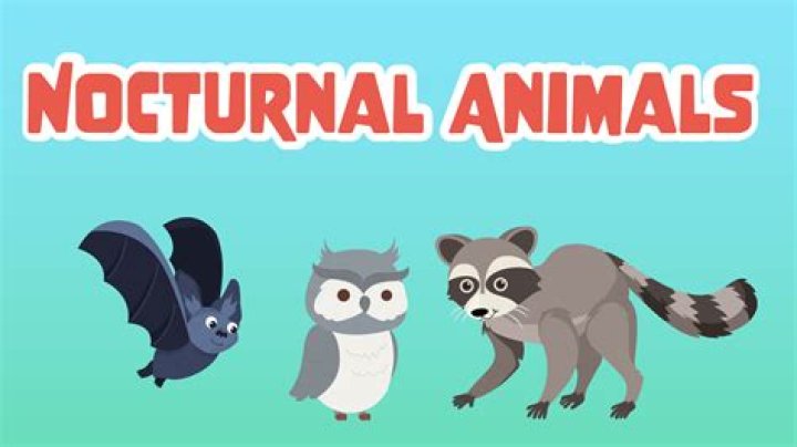 Word Heaps Level-418 - NOCTURNAL ANIMALS • Game Solver