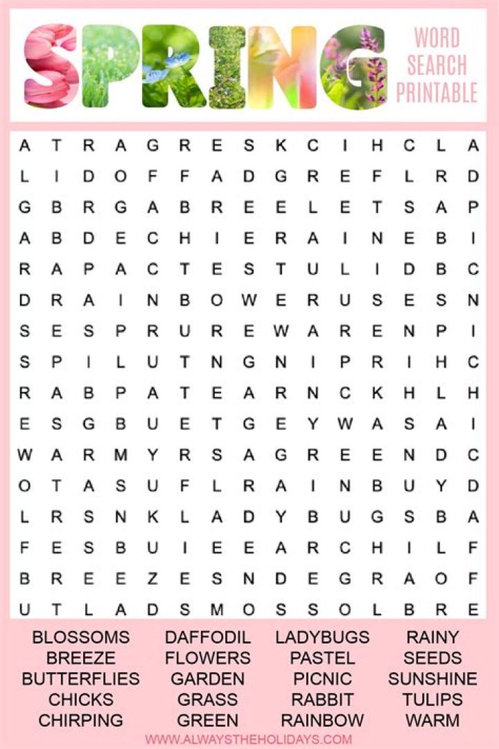 Word Search Pro 502 spring Answers • Game Solver